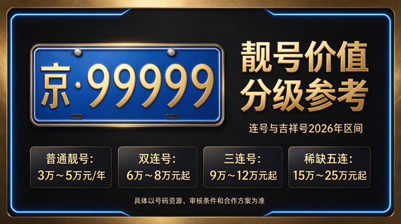 2026年京牌指标市场调研